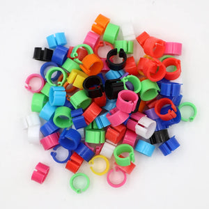 100-Pack 8mm Colored Bird Leg ID Bands for Pigeons Parrots