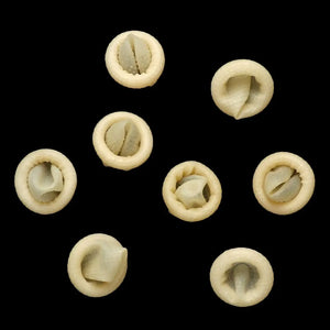 100pcs Natural Rubber Finger Cots Non-Slip Latex Finger Covers for Nail Art, Reusable Protective Fingertips Gloves