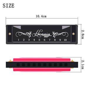 10 Holes 20 Notes C Key Harmonica with Colorful Metal Shell & Box - Educational Toy for Beginners