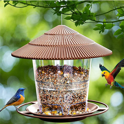 Automatic Multi-Hole Outdoor Bird Seed Feeder