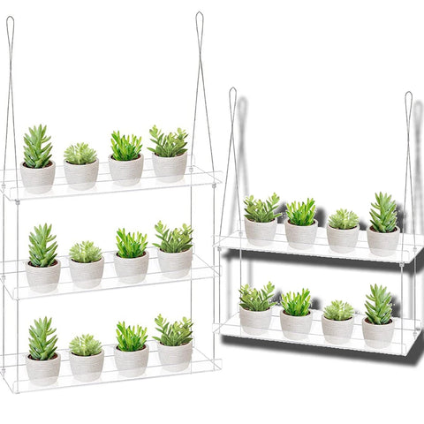 Clear Acrylic Wall-Mounted Shelves for Plants: Tulip Succulent and Flower Stand for Living Room, Window, Garden, Balcony