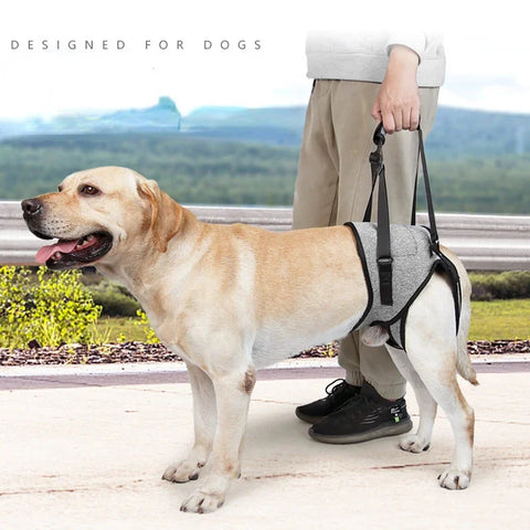 Adjustable Large Dog Lift Harness - Soft Padded Rear Leg Support for Elderly & Injured Pets