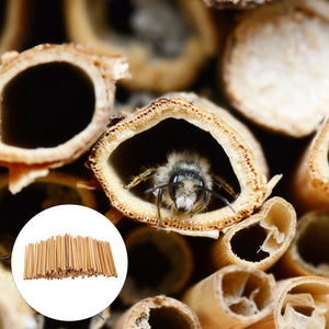 100-Pack Bamboo Bee Tubes for Mason Bees, Eco-Friendly Beekeeping Supplies for Gardens