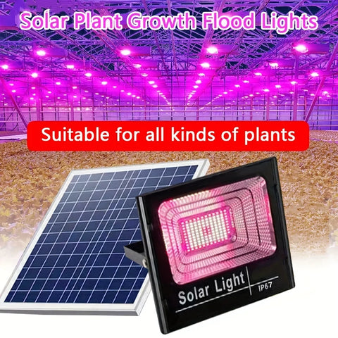 35/60W Solar LED Grow Light, Full Spectrum Floodlight, Remote Control, Waterproof for Indoor/Outdoor Plant Growth
