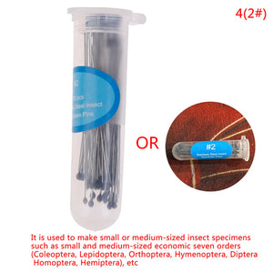 100 Pcs Stainless Steel Insect Pins with Plastic Box for Entomology & Lab Use