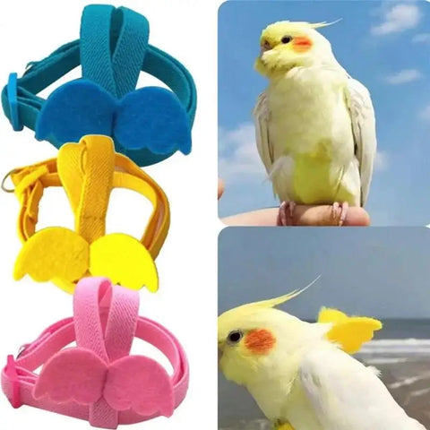 Cockatiel Bird Harness & Leash Set - Anti-Bite Flight Control for Pet Birds
