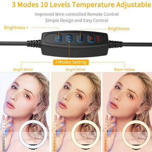 10" LED Ring Light with Phone Holder for Makeup, TikTok, YouTube, Video, Live Streaming