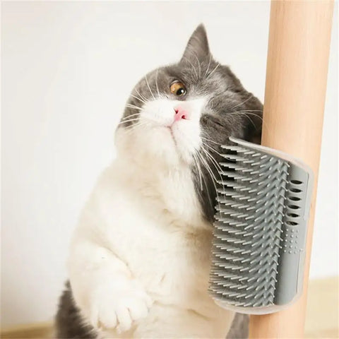 Cat Scratch & Groom Tool: Hair Remover, Massager, Kitty Brush