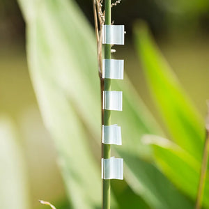 100 Grafting Clips for Tomatoes & Vegetables - Essential Garden Tools