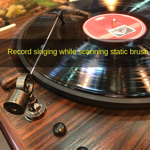 Adjustable Vinyl Record Cleaning Arm - Anti-Static Brush for Turntables