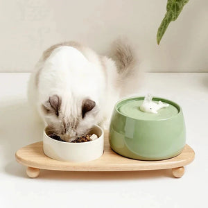 1.3L Ceramic Pet Water Fountain USB Rechargeable Auto Filter for Cats & Dogs