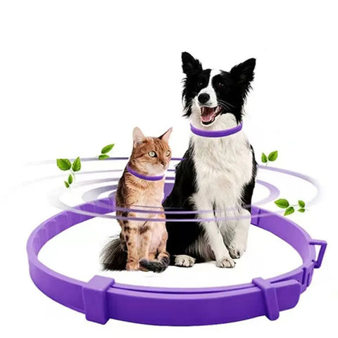 Adjustable Waterproof Cat & Small Dog Collar, Breakaway, 38-70cm