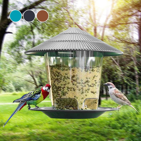 Automatic Outdoor Bird Feeder with Multi-hole Seed Dispenser for Wild Birds in Garden