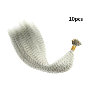 10 Pcs Colored Feather Hair Extensions I Tip Synthetic Zebra Strands Hairpiece