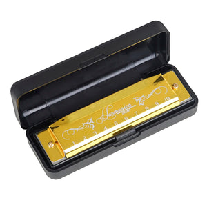 10 Holes 20 Notes C Key Harmonica with Colorful Metal Shell & Box - Educational Toy for Beginners