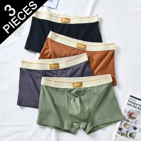 3-Pack Men's Breathable Cotton Boxers Underwear Comfort Plus Size XL-7XL Fashion Boxershorts