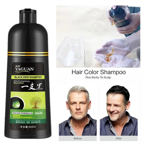 Gray Coverage Shampoo & Hair Dye Treatment for Natural Look