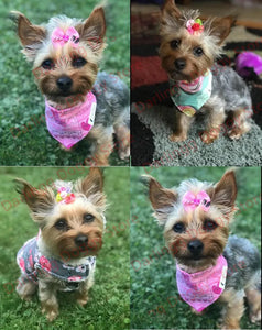 100-Pack Handmade Dog Hair Bows for Grooming & Parties Accessories