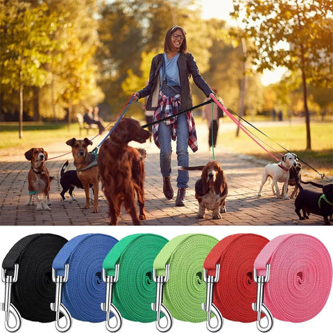 Adjustable Nylon Dog Leash for Training & Walking - Various Sizes