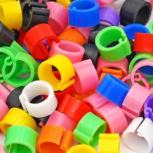 100-Pack 8mm Colored Bird Leg ID Bands for Pigeons Parrots