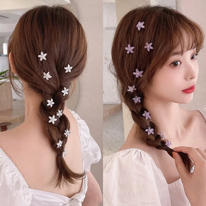 10-Pack Flower Princess Hair Clips Set - Lovely Hairpins and Buckles Hair Accessories