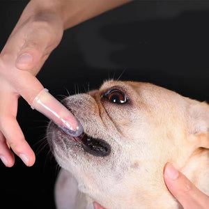 10-Pack Pet Finger Toothbrush - Silicone Dental Care for Dogs & Cats - Tartar Removal, Breath Freshener