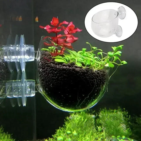 Glass Terrarium for Indoor Plants Home Decor Display