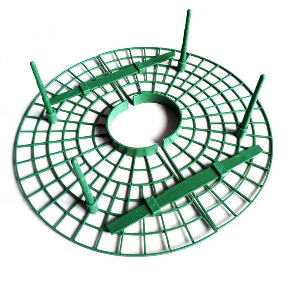 5pcs Plant Plastic Strawberry, Growing Circle Support Rack