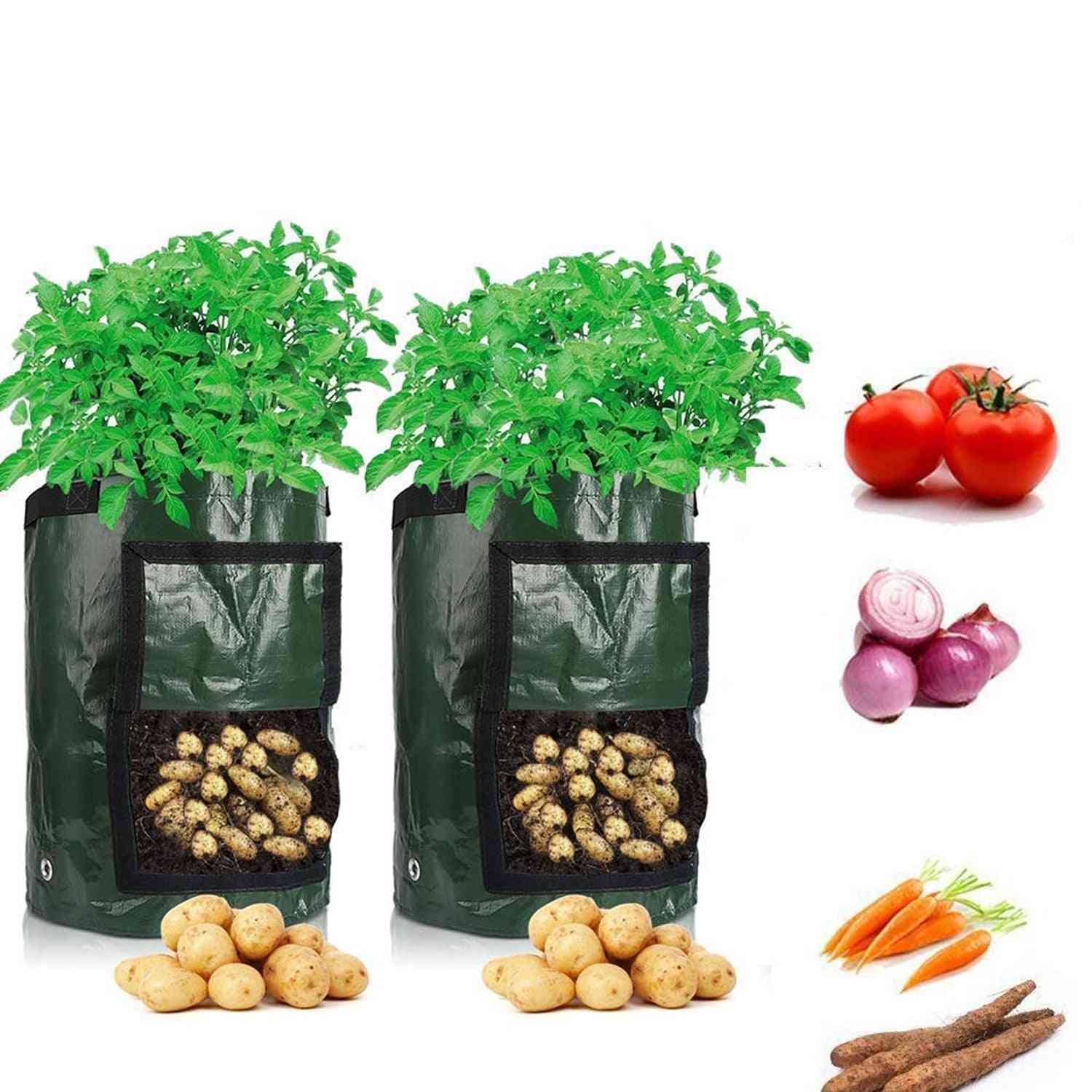 Kartoffelanbau, Gartengemüseanbau gewebte Stoffbeutel