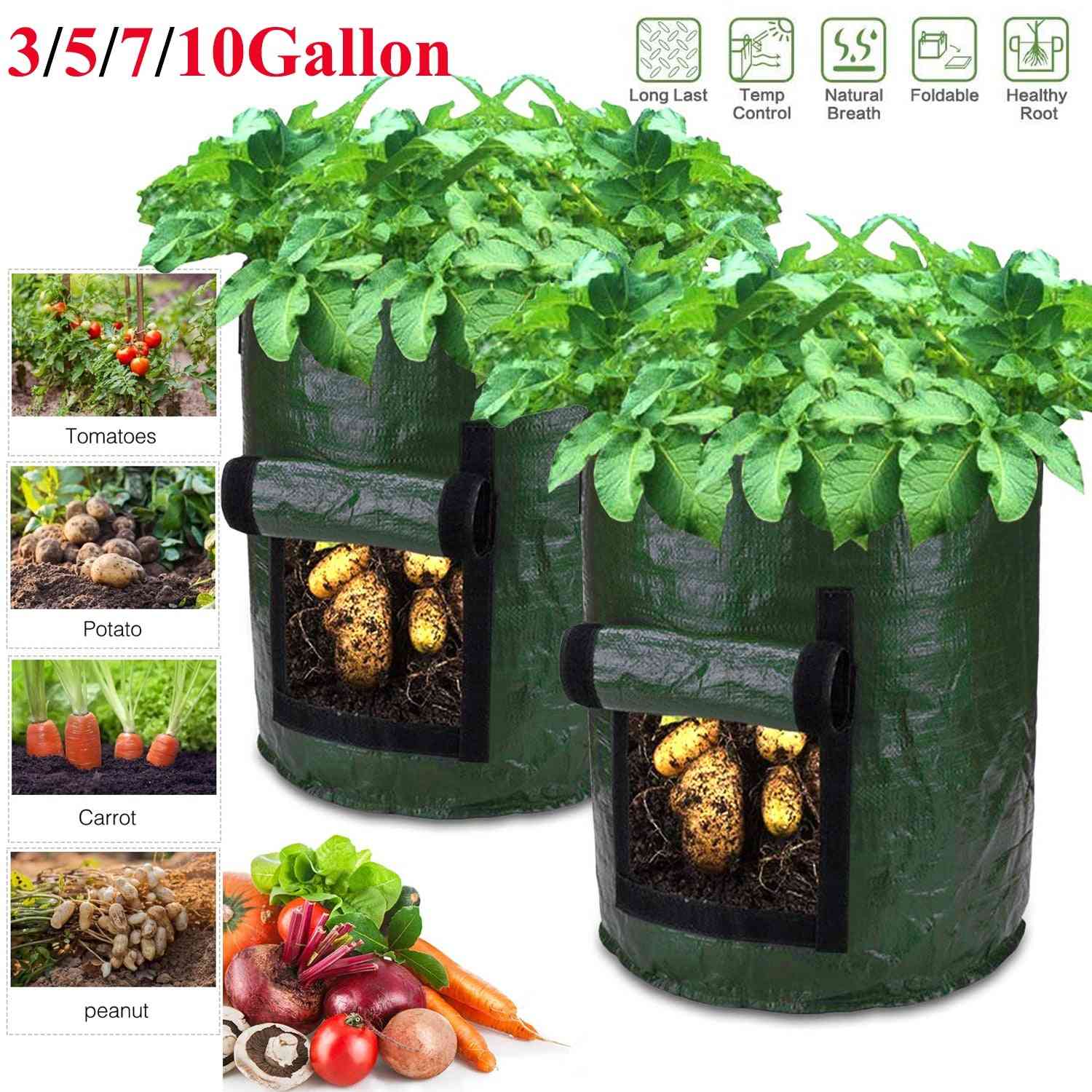 Coltivazione di patate, sacchi in tessuto per piantare ortaggi da giardino - verde 3 galloni