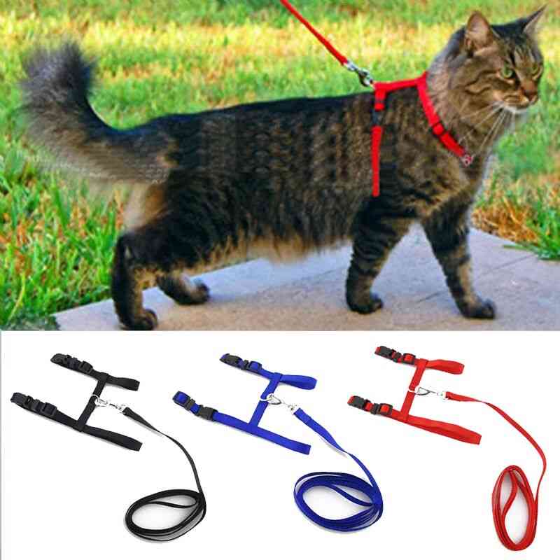 Correa de arnés de perro gato correa ajustable de nailon con cuello halter y cinturones para mascotas - rojo / 1x120cm