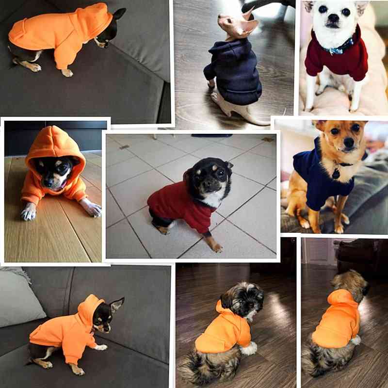 Topla odjeća, kapuljače, kaput za male i velike pse - zimska odjeća za štene