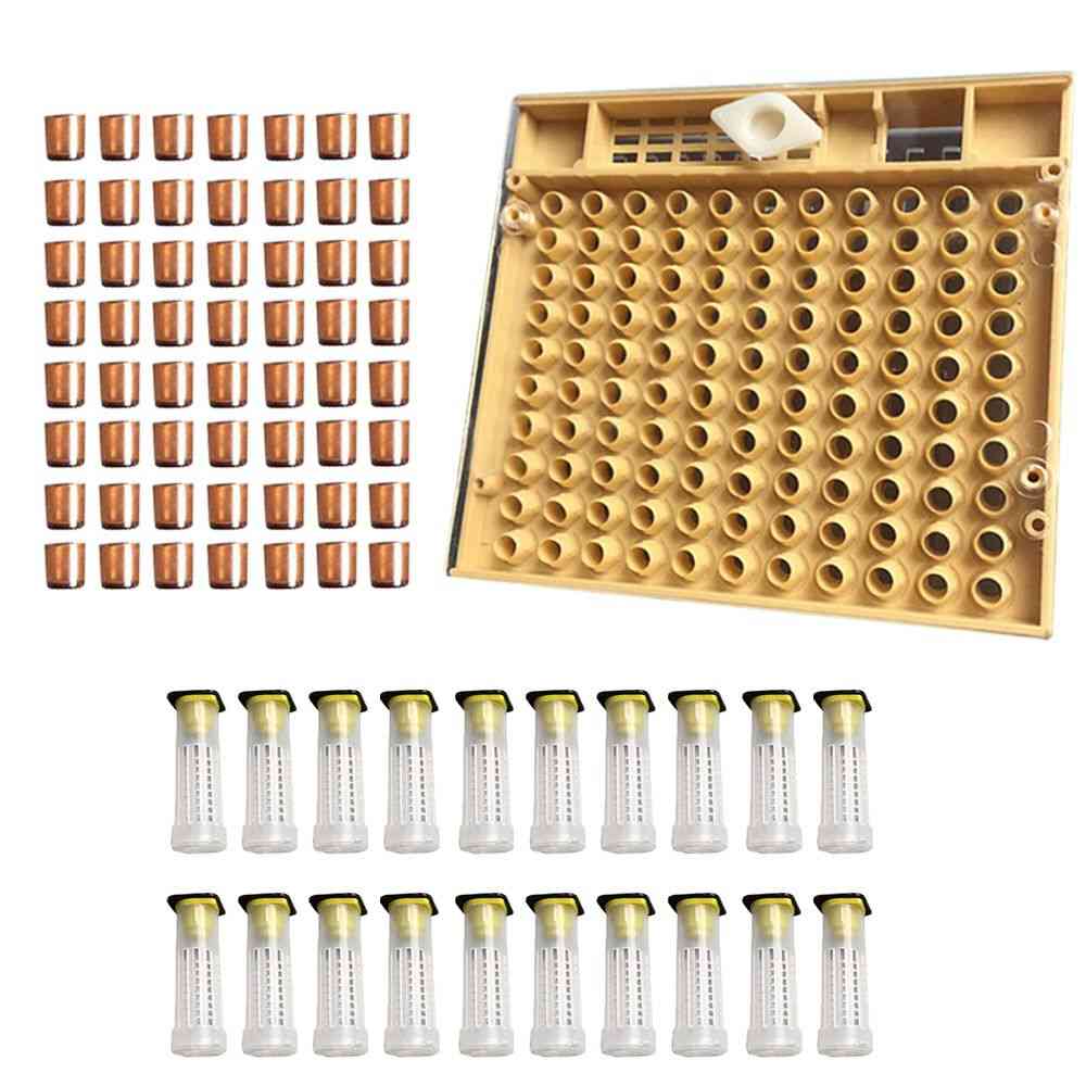 Apicultura ferramentas conjunto de equipamentos sistema de criação de rainha caixa de cultivo 110pcs copo de célula de abelha copo kit gaiola de rainha