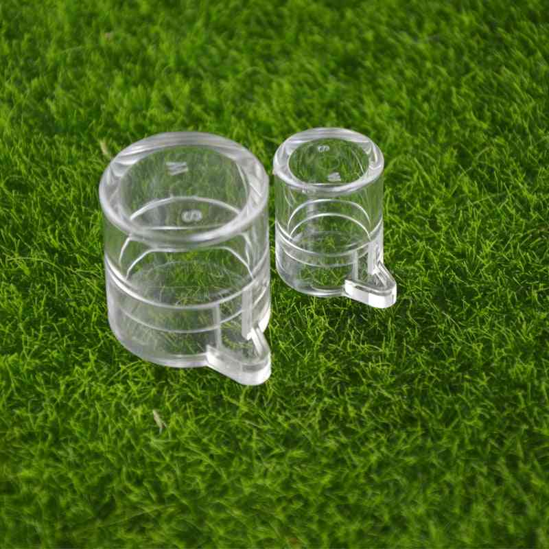 Acryl And Round Shape Water Feeding Area For Ants Or Insect