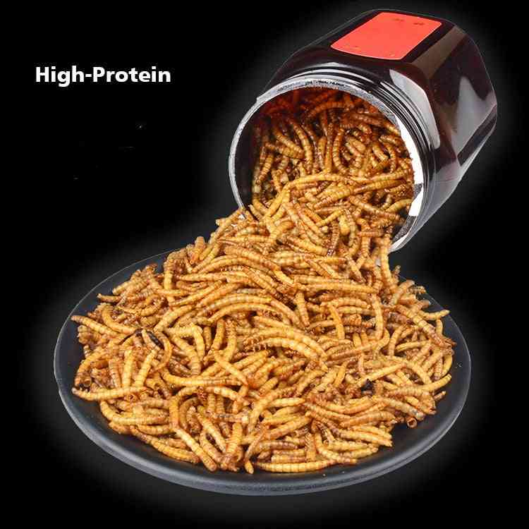 Freeze-dried Mealworm Ant Nest Ant Food Nutritious Protein Ant Farm Accessories Pet Anthill Workshop Ant House Supplies