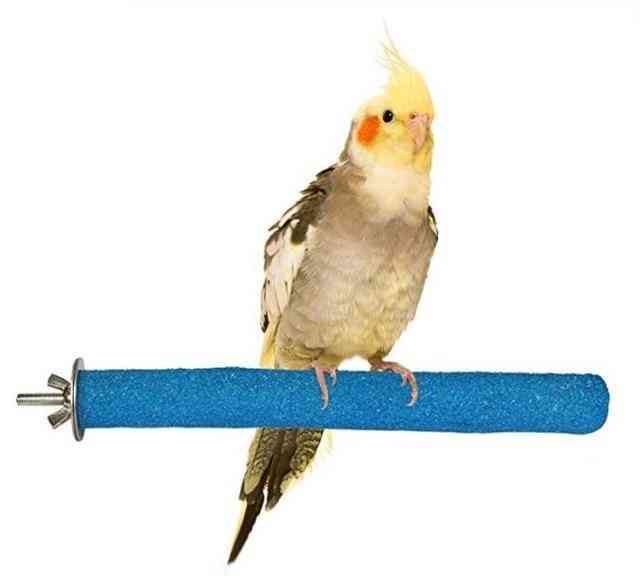 Bird Claw Beak Grinding Bar Standing Stick Parrot Station Pole Bird Supplies, Parrot Grinding Stand Claws Cage Accessories