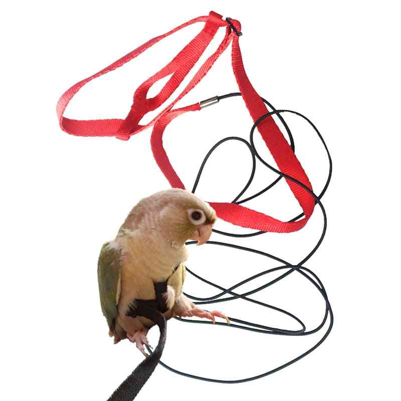 Arnês de pássaros ajustável para pássaros coleira corda de treinamento anti-mordida coleira de arnês voadora externa