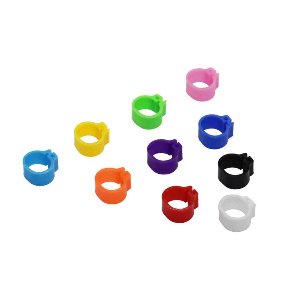 Galamb gyűrűk, szuronyos azonosító gyűrű, nyitó galamb gyűrű, színes galamb láb gyűrű galamb kellékek madár készülékekhez