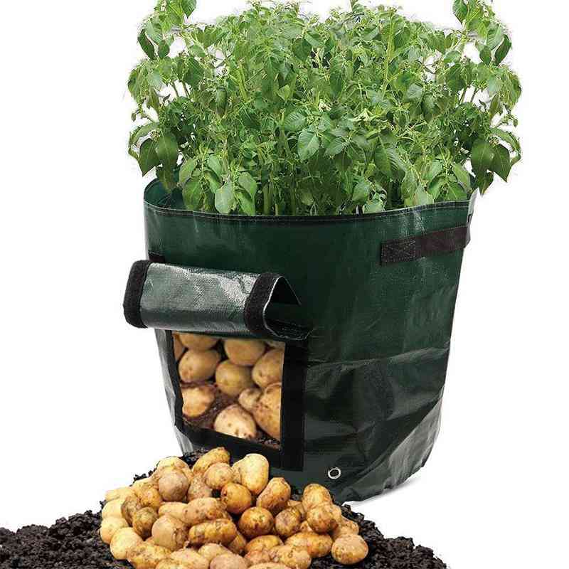 Gojenje krompirja sajenje vrtni lonci - rastline zelenjavna vreča za kmetijo, dom in vrt