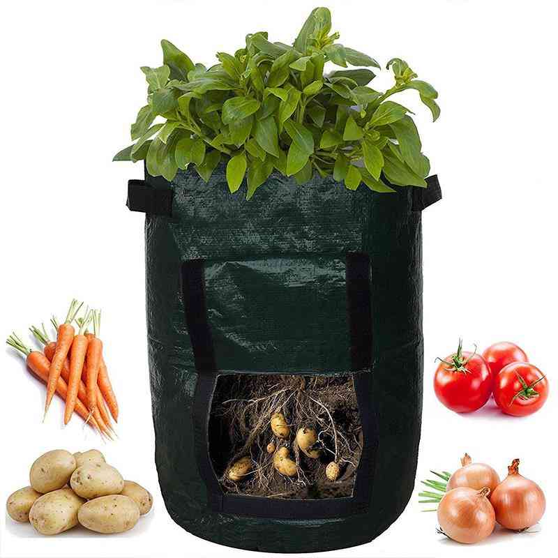 Potetdyrking som planter hagepotter - planter vegetabilsk voksepose til gård, hjem og hage
