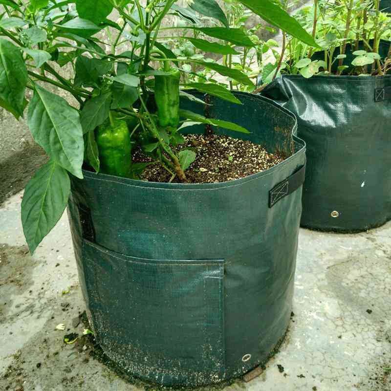 Sadzenie ziemniaków doniczki ogrodowe - sadzonki worek do uprawy warzyw w gospodarstwie, domu i ogrodzie - zielony