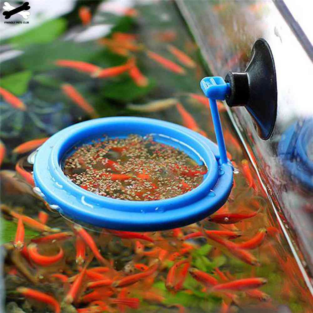 Pierścień do karmienia akwarium stacja akwariowa pływająca taca na żywność podajnik kwadratowy okrąg akcesoria woda roślina wyporność przyssawka-01 / jak na zdjęciu