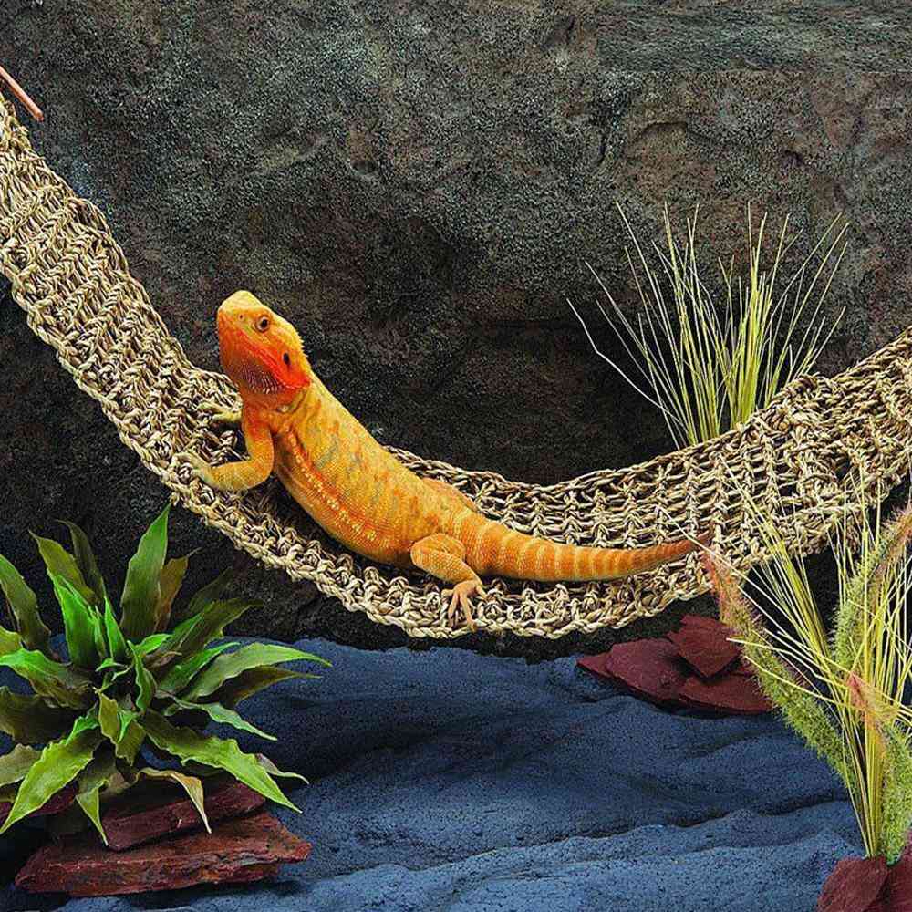 Merilevä lisko riippumatto keinu - lemmikkieläinten lepotuoli matelija lelu riippuva matto, pieni erakko, rapuja, geckos sänky - G216211
