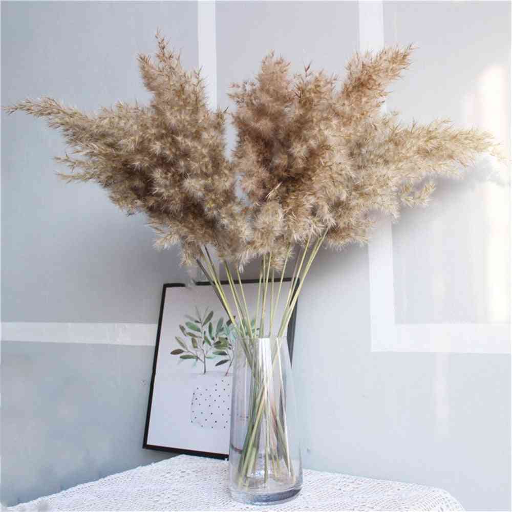 Real Dried Pampas Grass Decor Wedding Flower Bunch - Natural Plants Decor