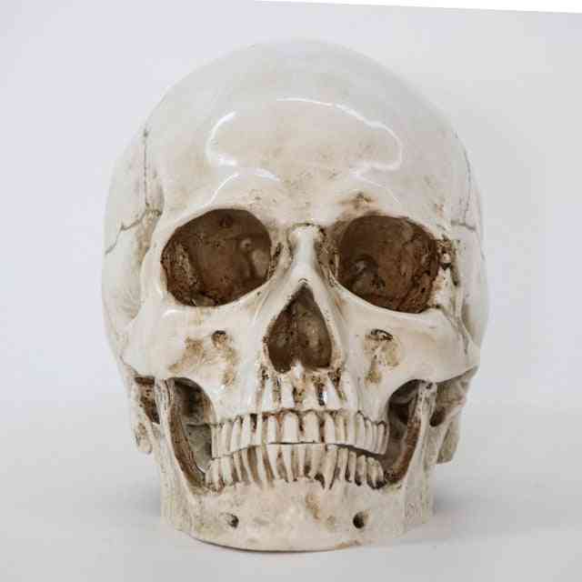 творчески смола череп модел живот реплика скулптура хелоуин декор на дома