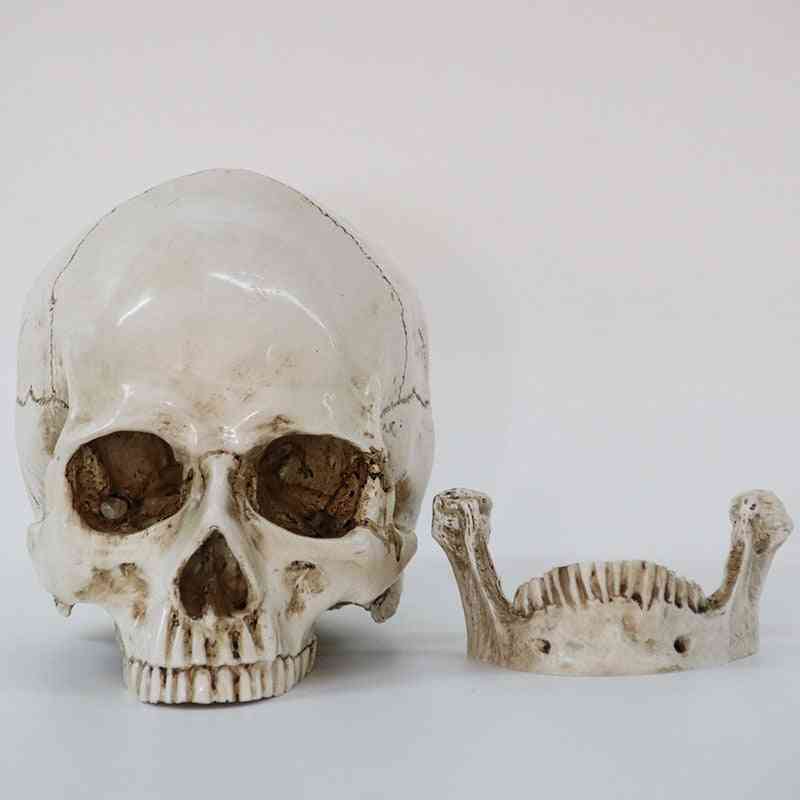творчески смола череп модел живот реплика скулптура хелоуин декор на дома