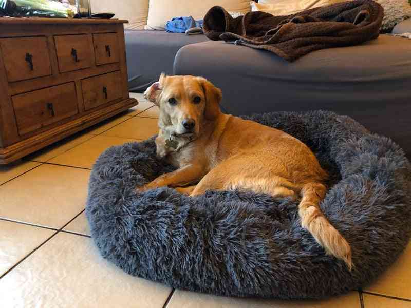 Warm, Round - Lounger Cushion For Pets