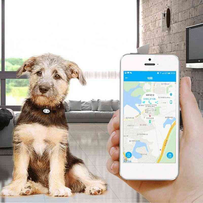 Intelligenz wasserdichter Tracker langjähriger Standby-Hund Katze GPS Haustier Ort Tracker