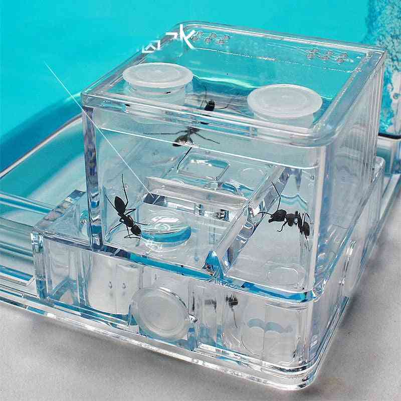 Formigas fazenda formigas casa castelo insetos transparentes terrário gaiola de formigas - insetos observados caixa berçário brinquedo modelo educacional ecológico - azul / 10,8 x 10,8 cm