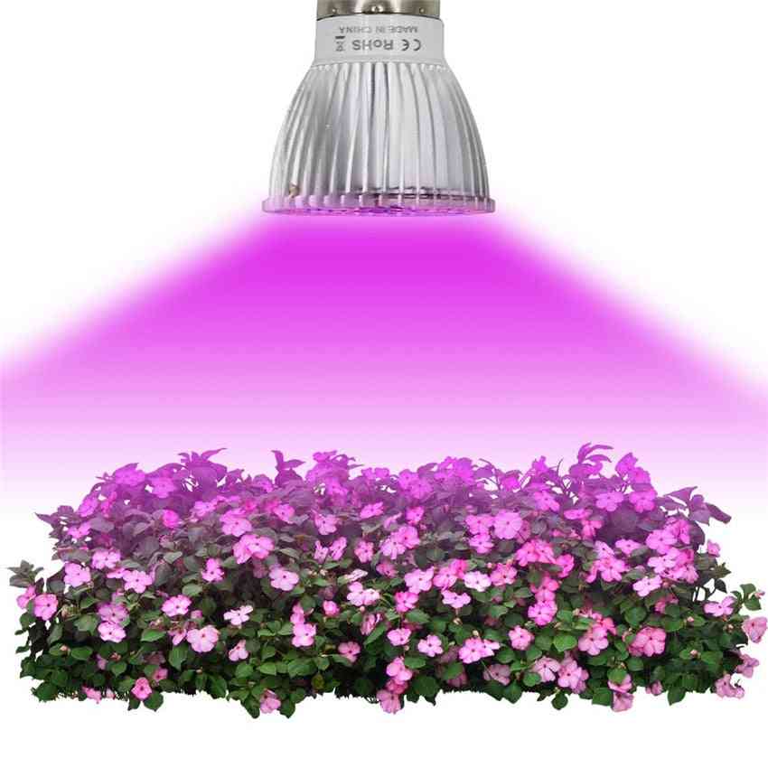 Led nő könnyű zöldség virág beltéri növény hidroponika teljes spektrumú lámpa